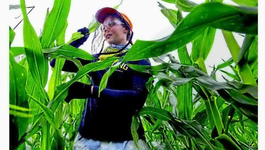 SUMMER RITE OF PASSAGE